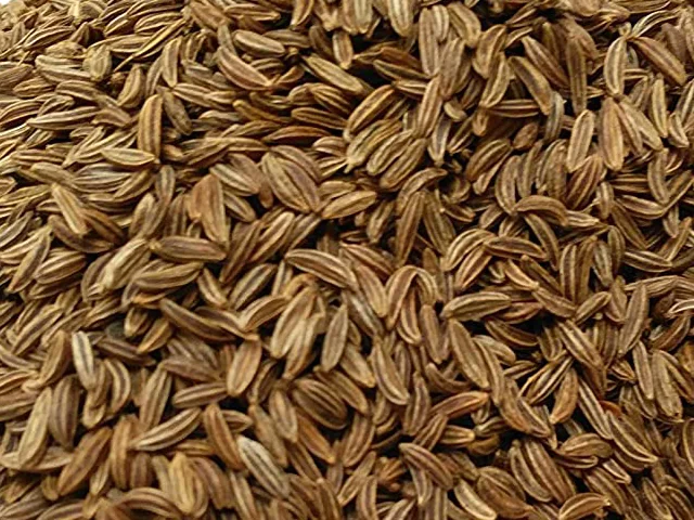 Bulk Caraway Seeds from Egypt